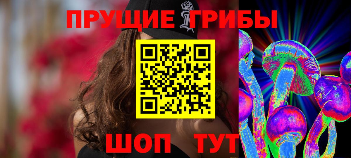 Псилоцибиновые грибы Magic Shrooms  Галлюциногенные грибы мицелий  Нижнеудинск  Вход с VPN 